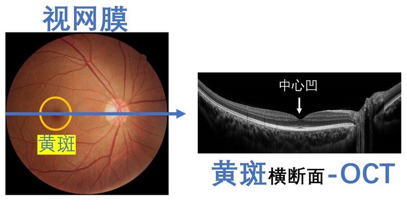 圖文圖片