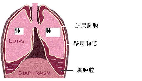 圖文圖片