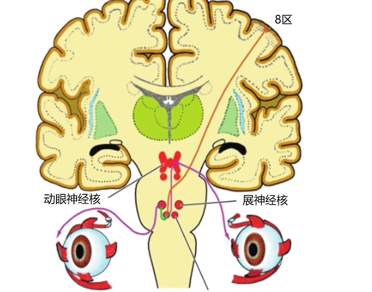 圖文圖片