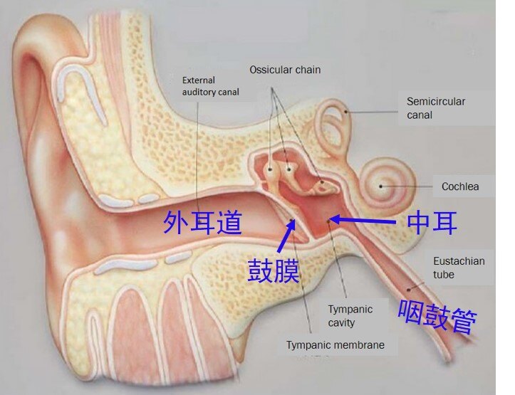 圖文圖片