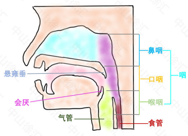 圖文圖片