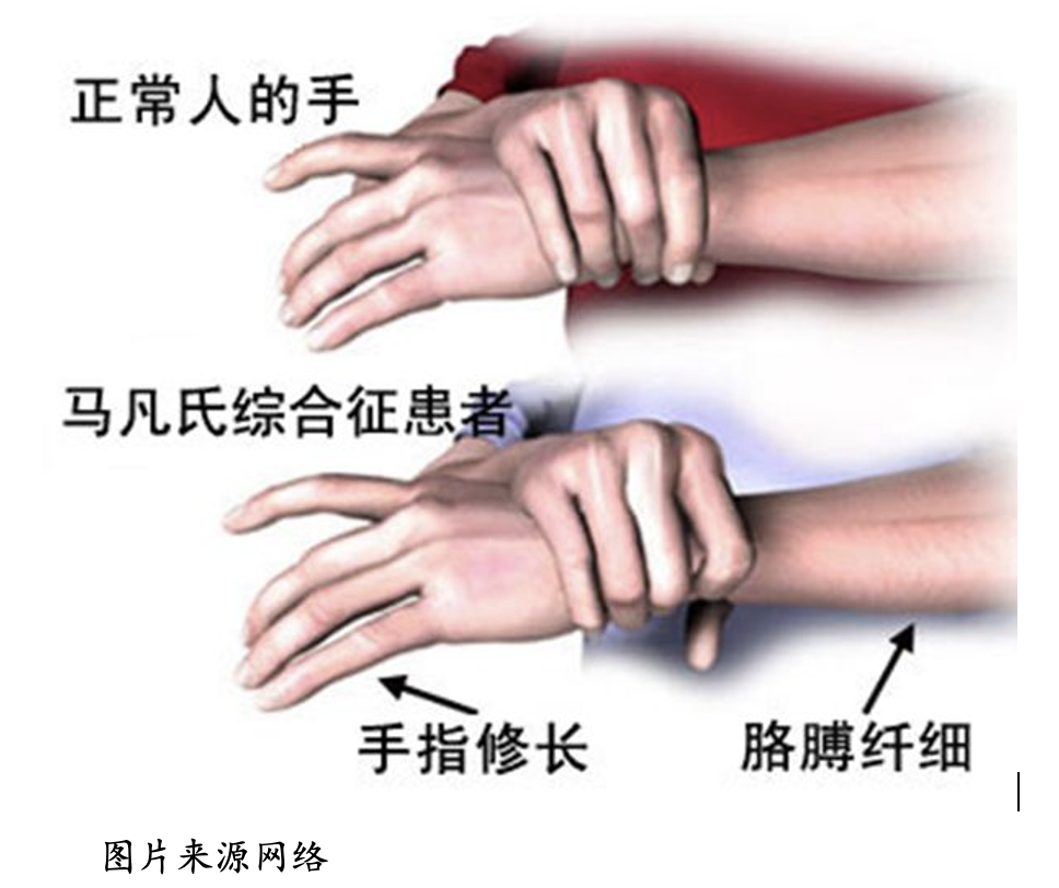 图文图片