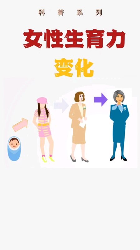 女性的生育力变化