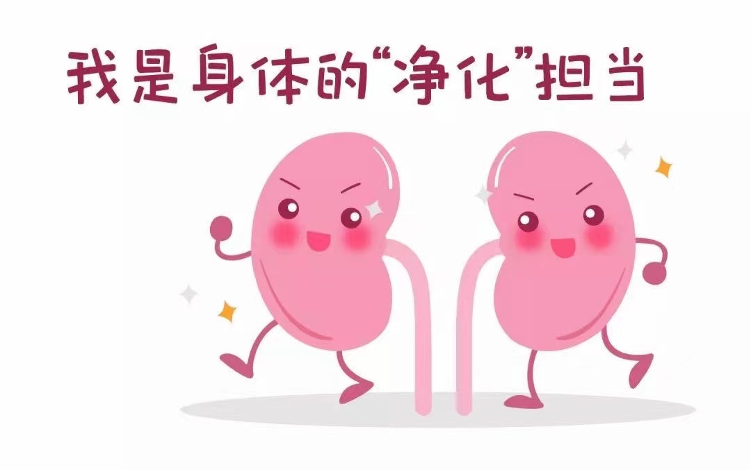 图文图片