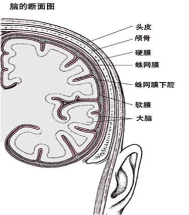 圖文圖片