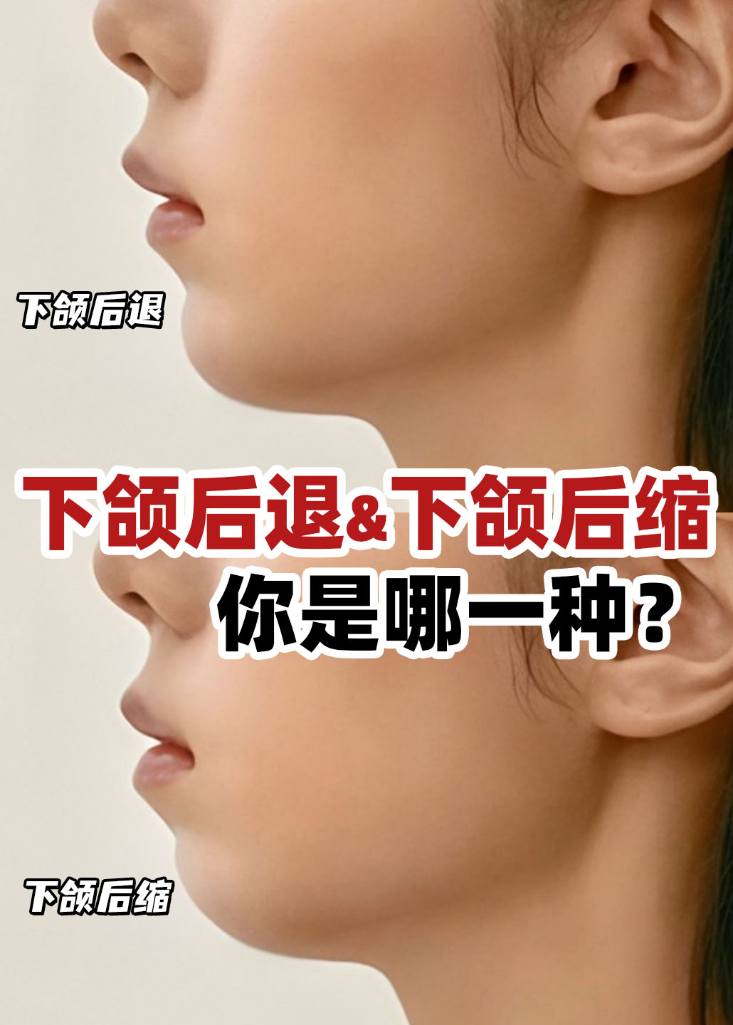 图文图片