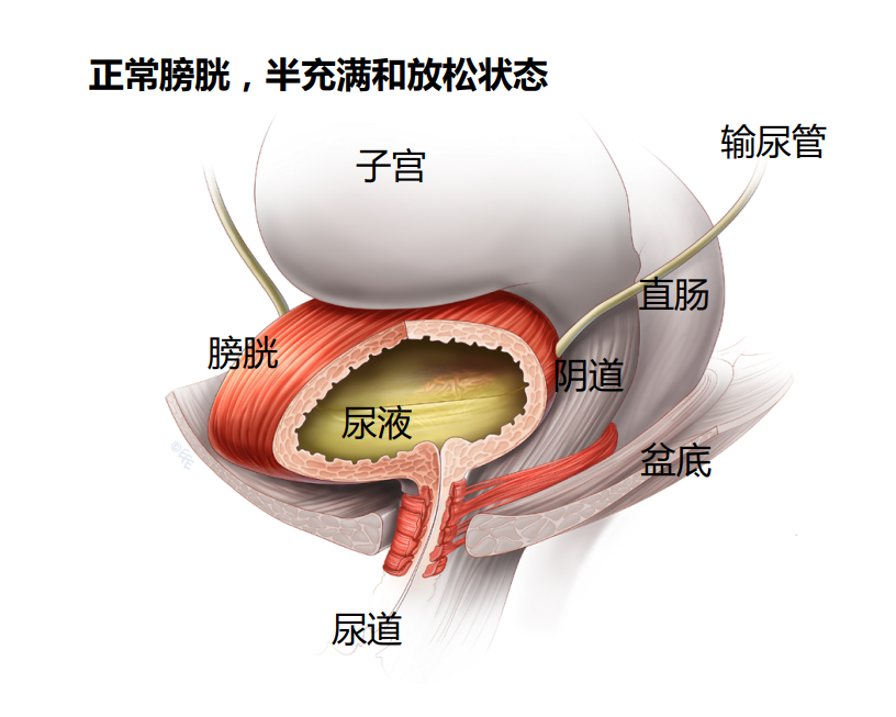圖文圖片