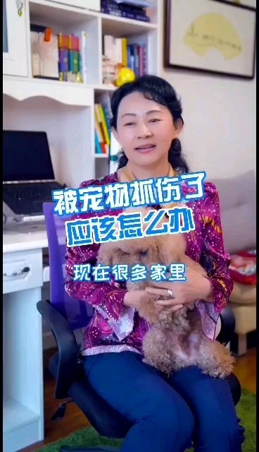被宠物抓伤了应该怎么办