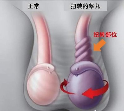圖文圖片