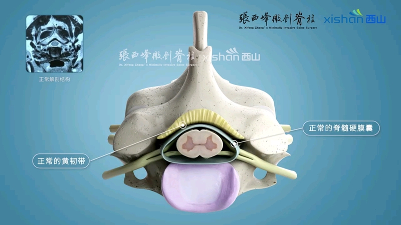 視頻封面