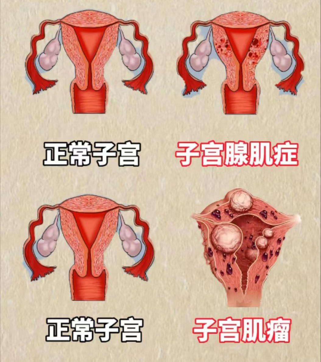 圖文圖片