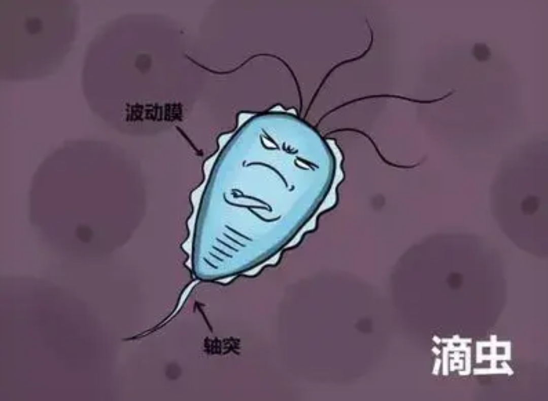 圖文圖片