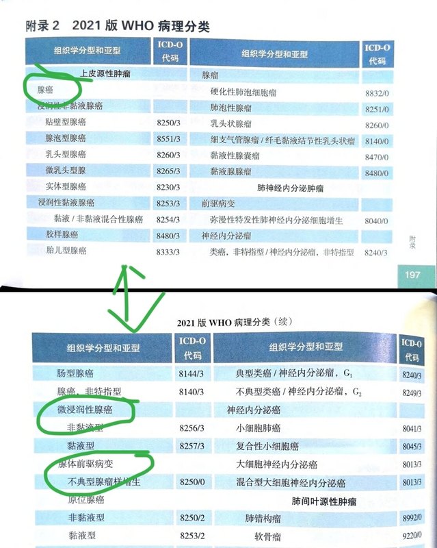 圖文圖片