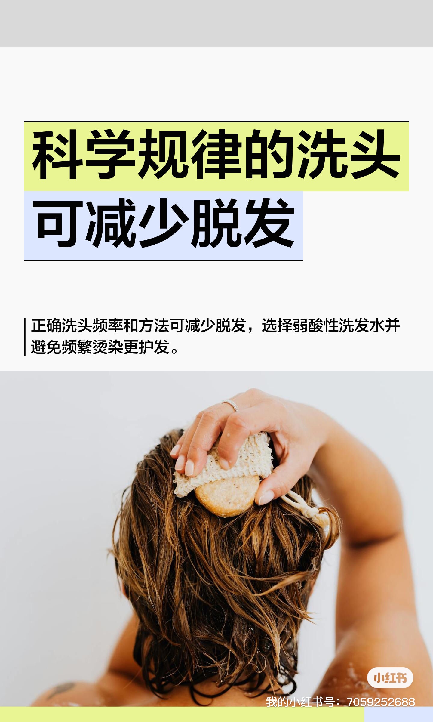 图文图片