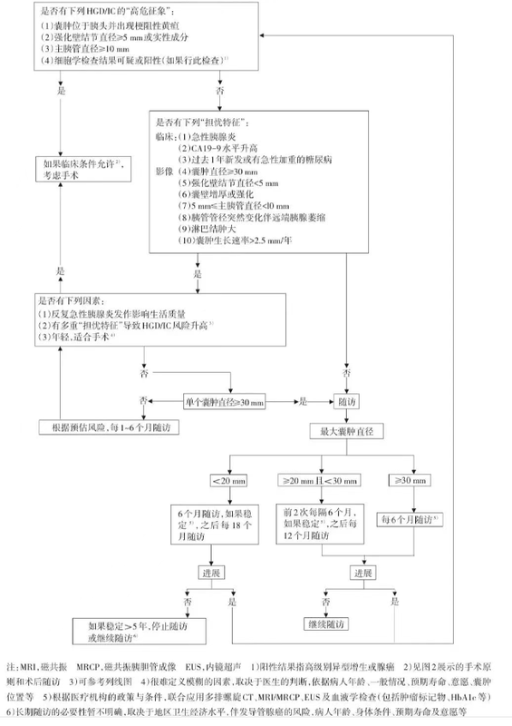 图文图片