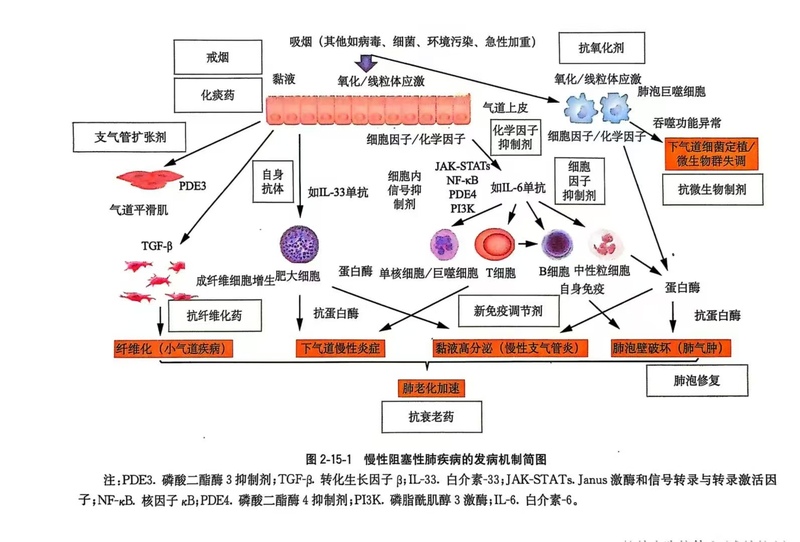 圖文圖片