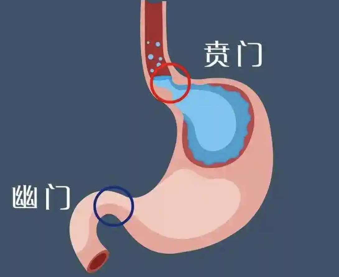 圖文圖片