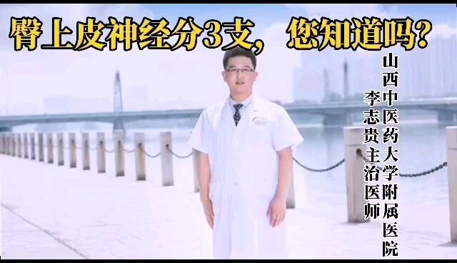 臀上皮神经在哪里？臀上皮神经引起的腰腿痛有哪些表现？李志贵医生