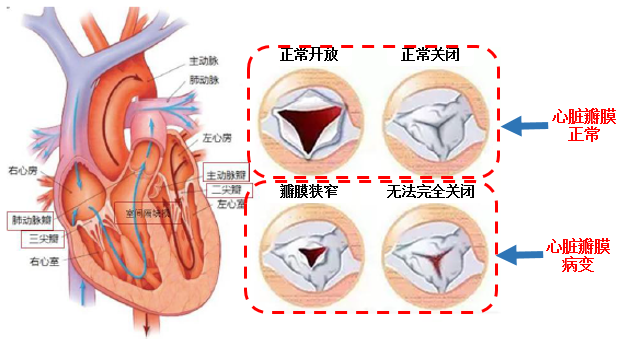 圖文圖片