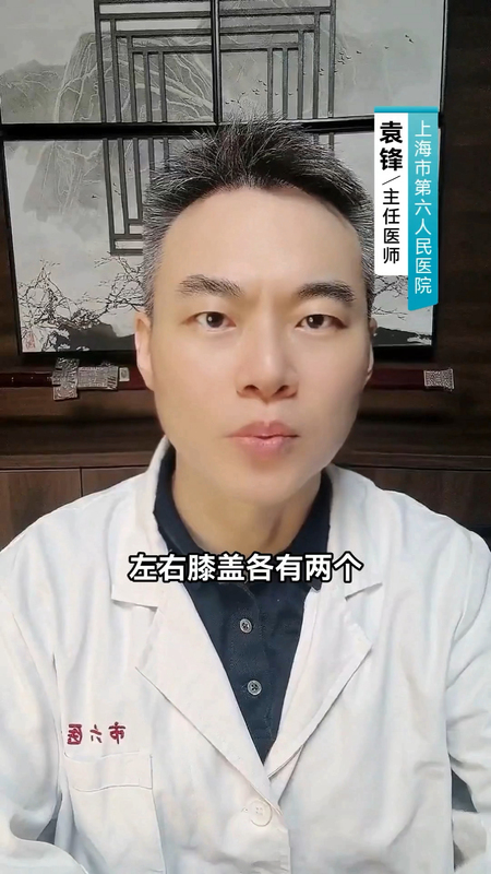 什么是半月板？它到底有多重要？＃健康的答案