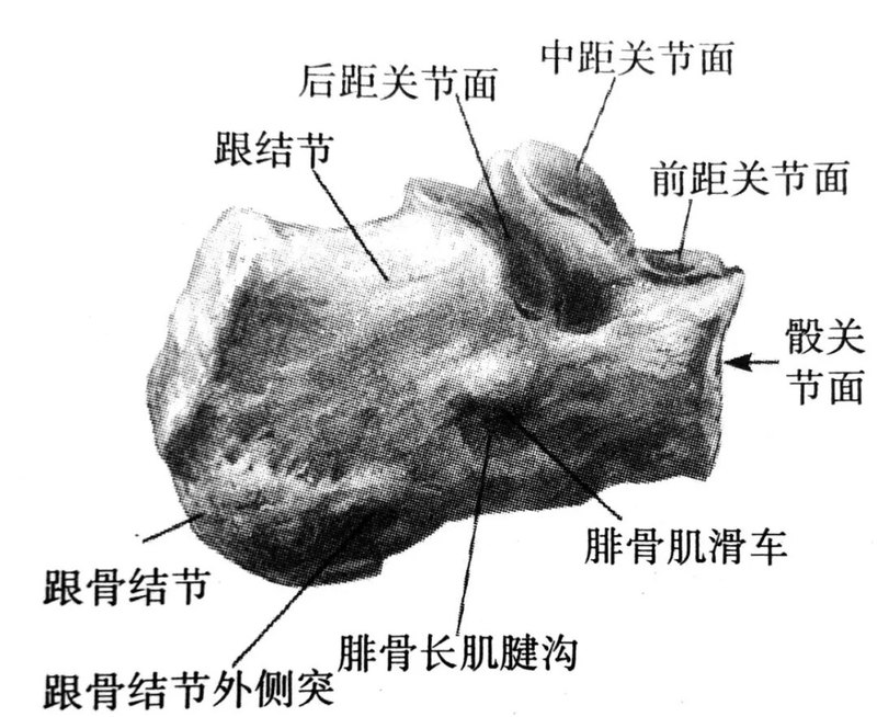 圖文圖片