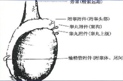 圖文圖片