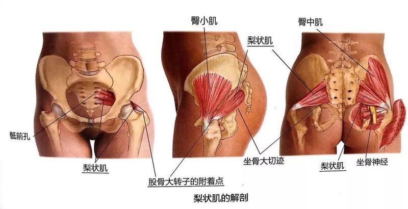图文图片