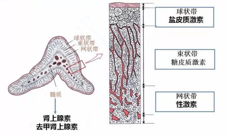 圖文圖片