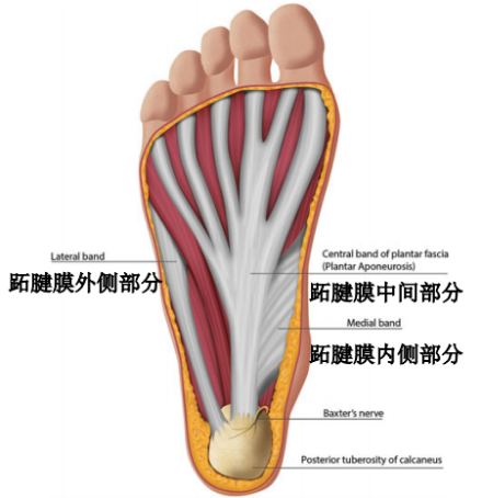 圖文圖片