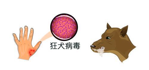圖文圖片