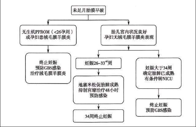 一图读懂未足月胎膜早破诊治流程？(1)