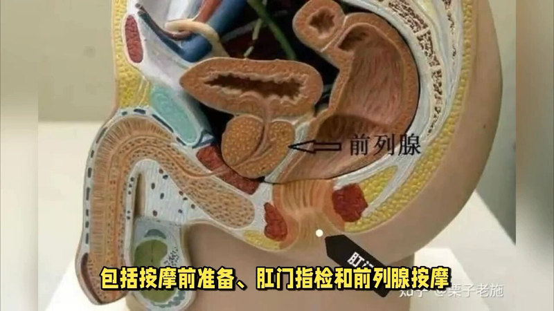 前列腺按摩：前列腺炎诊断与治疗的必需品