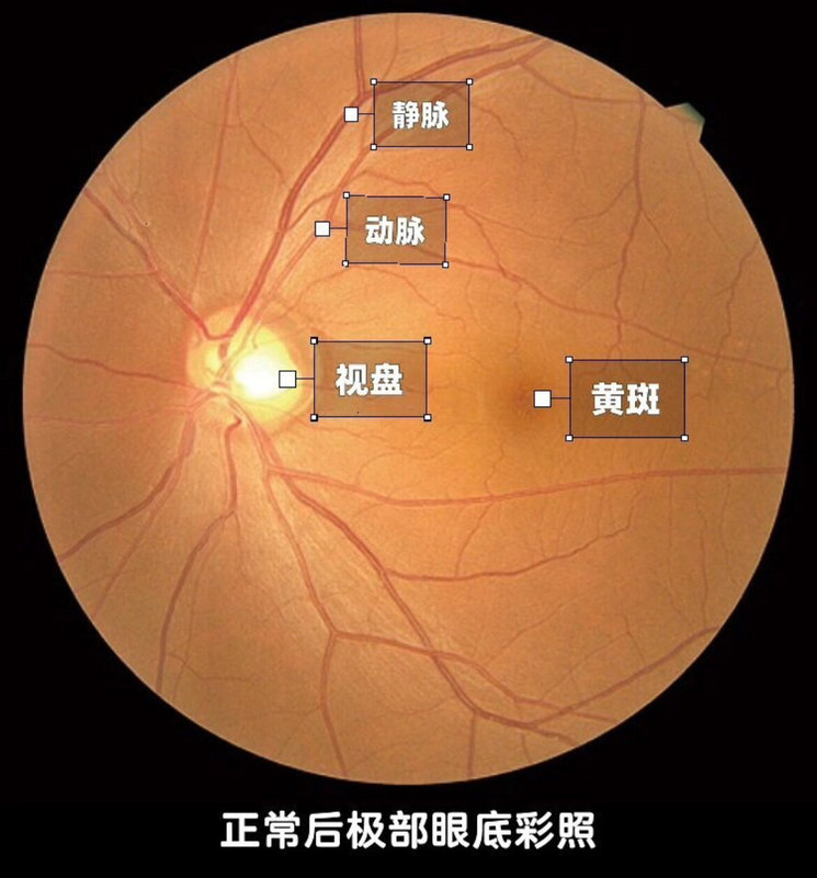 圖文圖片