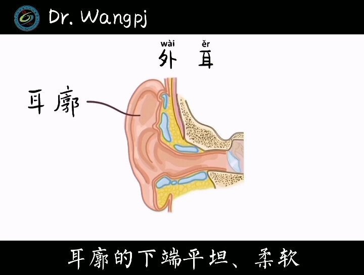 視頻封面