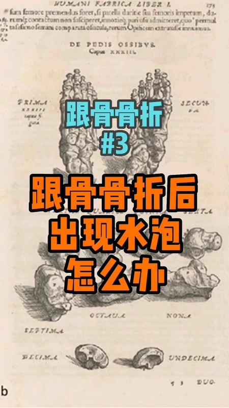視頻封面