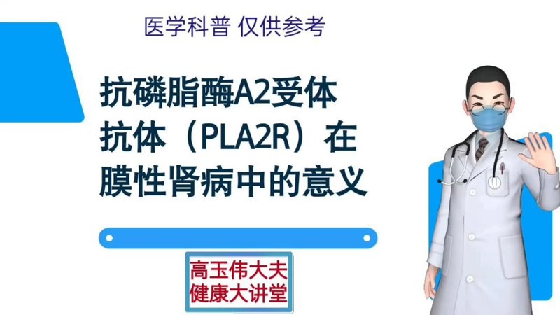 抗磷脂酶A2受体抗体在膜性肾病中的意义