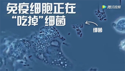 圖文圖片