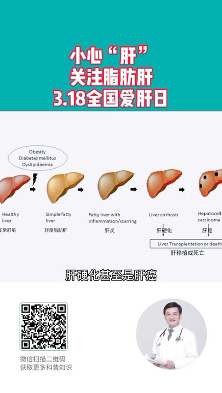 小心“肝”，关注脂肪肝