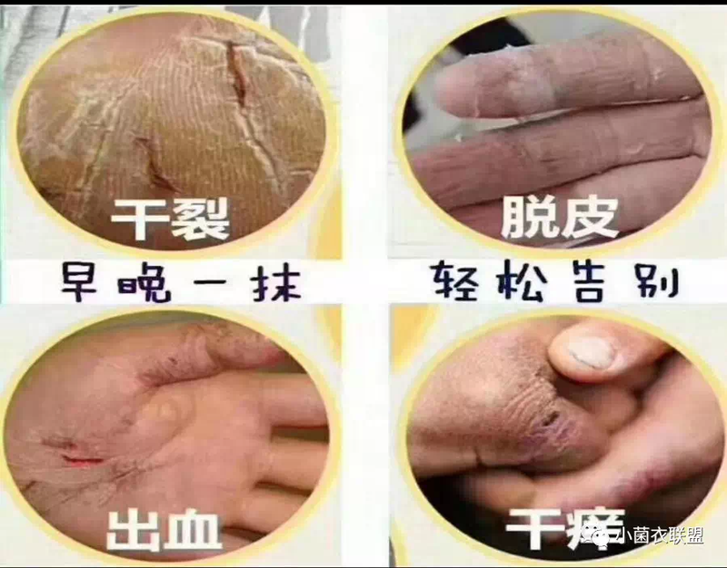 图文图片